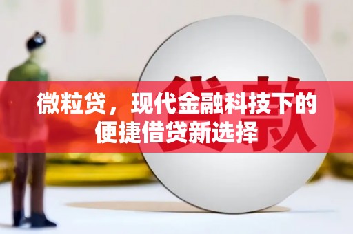 海兴微粒贷，现代金融科技下的便捷借贷新选择