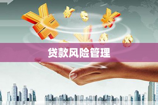 海兴贷款风险管理