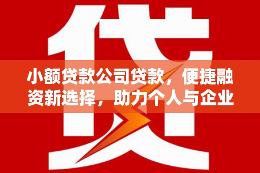 海兴小额贷款公司贷款，便捷融资新选择，助力个人与企业成长