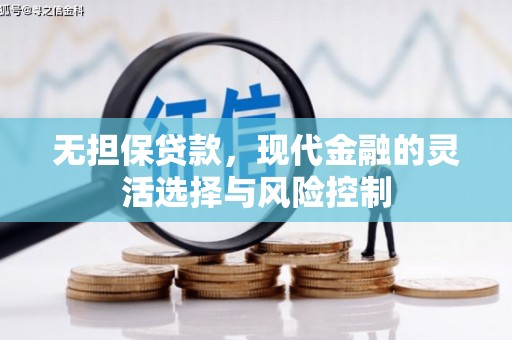 海兴无担保贷款，现代金融的灵活选择与风险控制