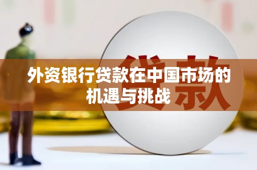 海兴外资银行贷款在中国市场的机遇与挑战