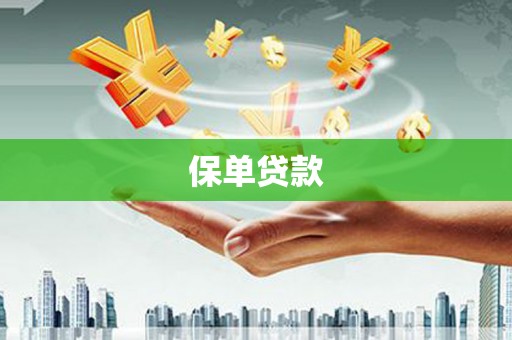 海兴保单贷款