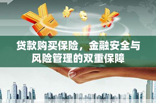 海兴贷款购买保险，金融安全与风险管理的双重保障