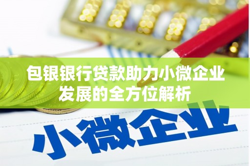 海兴包银银行贷款助力小微企业发展的全方位解析