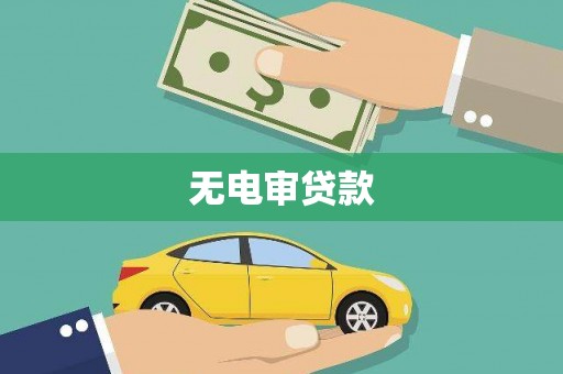 海兴无电审贷款