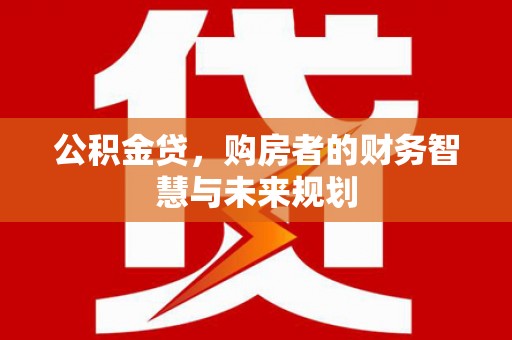 海兴公积金贷，购房者的财务智慧与未来规划