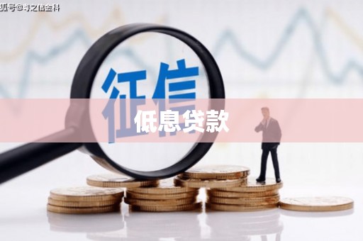 海兴低息贷款