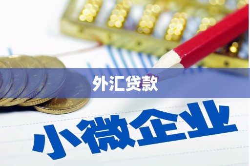 海兴外汇贷款