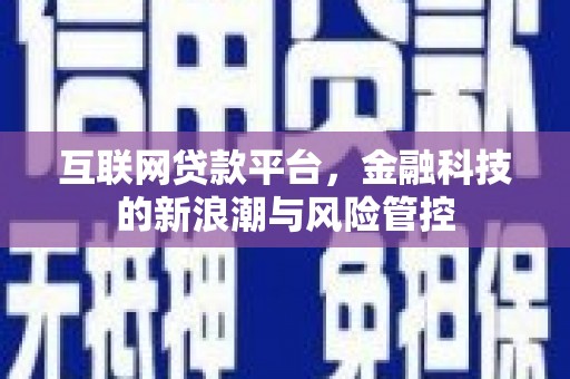 海兴互联网贷款平台，金融科技的新浪潮与风险管控