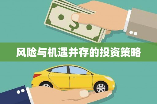 海兴风险与机遇并存的投资策略