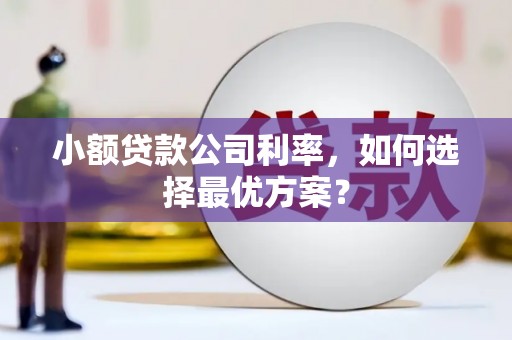 海兴小额贷款公司利率，如何选择最优方案？