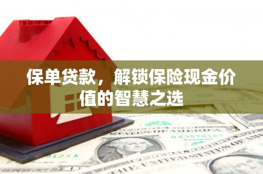 海兴保单贷款，解锁保险现金价值的智慧之选