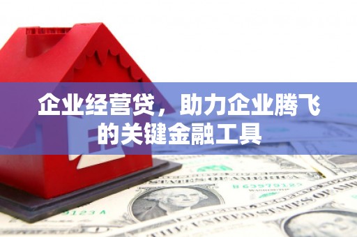 海兴企业经营贷，助力企业腾飞的关键金融工具
