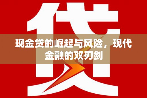 海兴现金贷的崛起与风险，现代金融的双刃剑