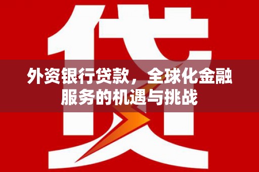 海兴外资银行贷款，全球化金融服务的机遇与挑战