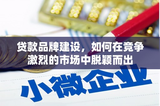 海兴贷款品牌建设，如何在竞争激烈的市场中脱颖而出