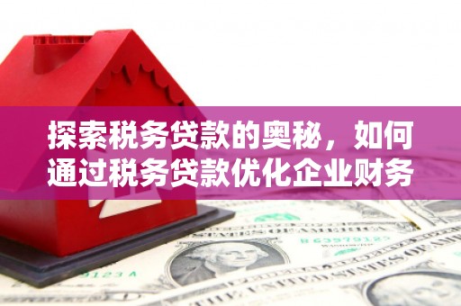 海兴探索税务贷款的奥秘，如何通过税务贷款优化企业财务