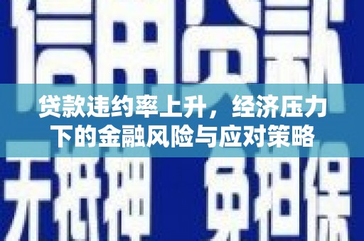 海兴贷款违约率上升，经济压力下的金融风险与应对策略