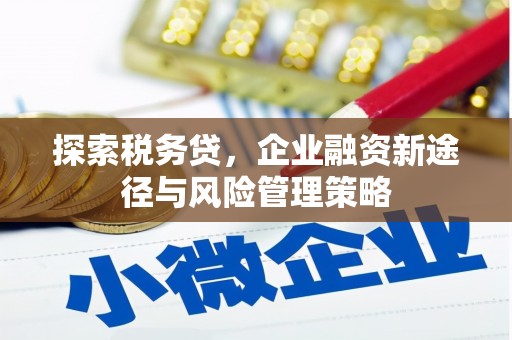 海兴探索税务贷，企业融资新途径与风险管理策略