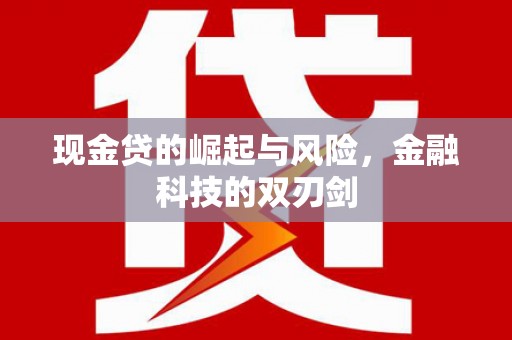 海兴现金贷的崛起与风险，金融科技的双刃剑