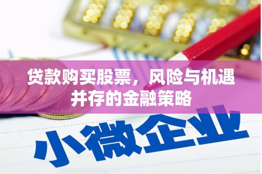 海兴贷款购买股票，风险与机遇并存的金融策略