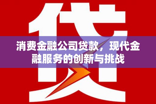 海兴消费金融公司贷款，现代金融服务的创新与挑战