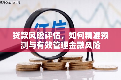 海兴贷款风险评估，如何精准预测与有效管理金融风险