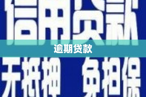 海兴逾期贷款