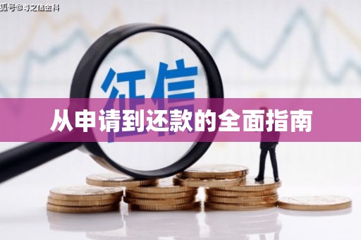 海兴从申请到还款的全面指南