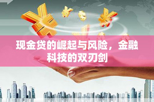 海兴现金贷的崛起与风险，金融科技的双刃剑