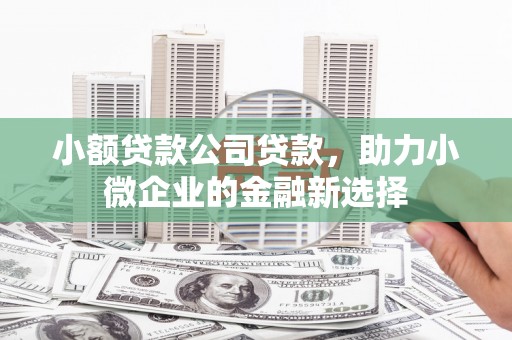 海兴小额贷款公司贷款，助力小微企业的金融新选择