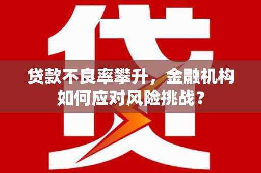 海兴贷款不良率攀升，金融机构如何应对风险挑战？