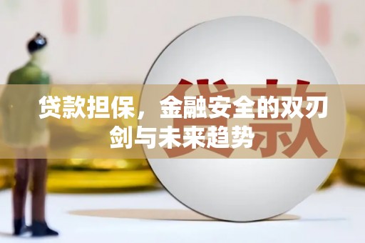 海兴贷款担保，金融安全的双刃剑与未来趋势