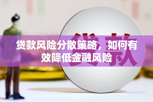 海兴贷款风险分散策略，如何有效降低金融风险
