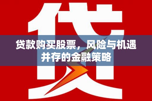 海兴贷款购买股票，风险与机遇并存的金融策略
