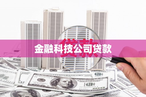 海兴金融科技公司贷款