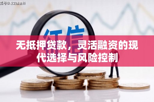 海兴无抵押贷款，灵活融资的现代选择与风险控制