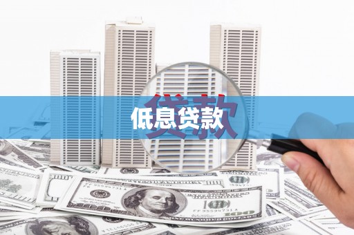 海兴低息贷款