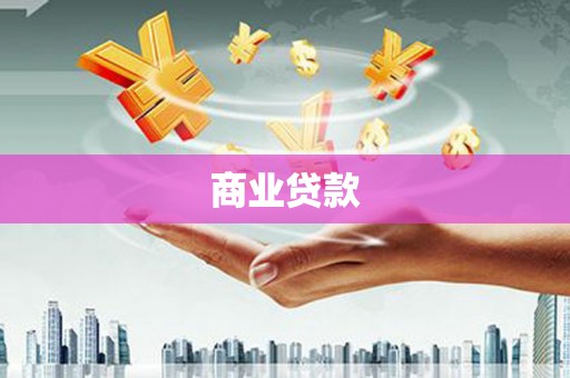 海兴商业贷款