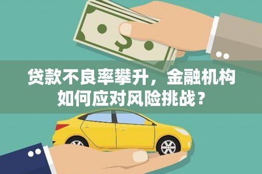 海兴贷款不良率攀升，金融机构如何应对风险挑战？