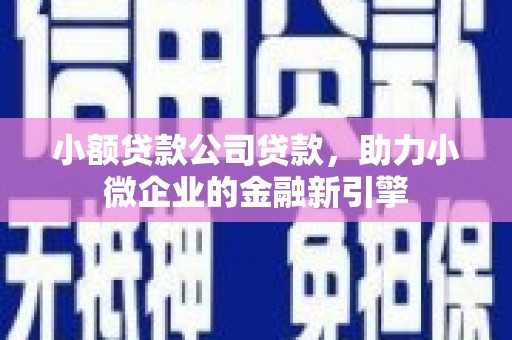 海兴小额贷款公司贷款，助力小微企业的金融新引擎