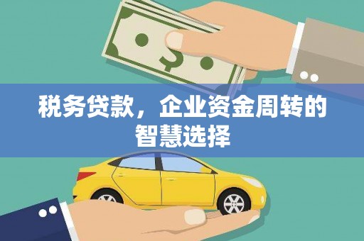 海兴税务贷款，企业资金周转的智慧选择