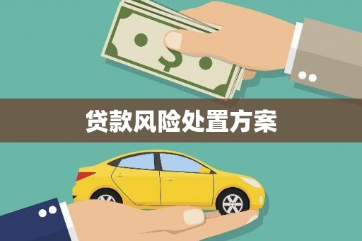 海兴贷款风险处置方案