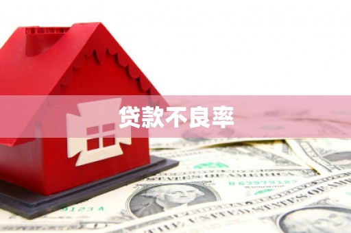 海兴贷款不良率