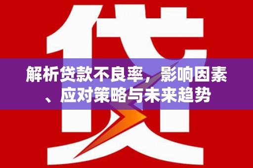 海兴解析贷款不良率，影响因素、应对策略与未来趋势