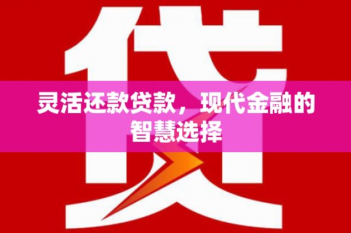 海兴灵活还款贷款，现代金融的智慧选择