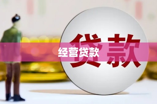 海兴经营贷款