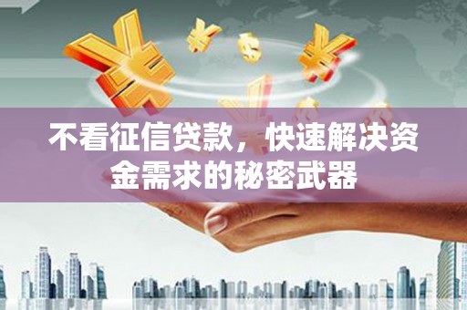海兴不看征信贷款，快速解决资金需求的秘密武器