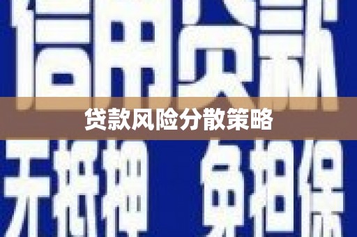 海兴贷款风险分散策略