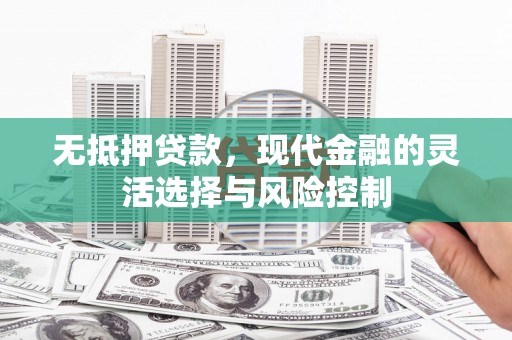 海兴无抵押贷款，现代金融的灵活选择与风险控制